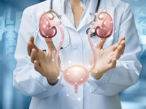 Genito-Urinary-Cancer